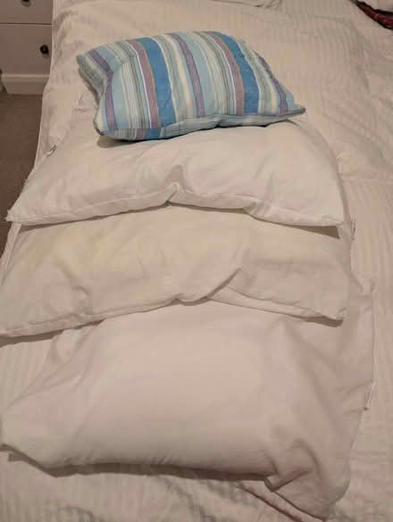 Photo of free 4 pillows (SW2) #1