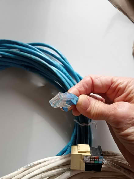 Photo of free Computer cables--long (Park Slope) #1