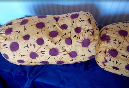 Photo of free Two Sunflower Cushions (Parkstone BH12) #2