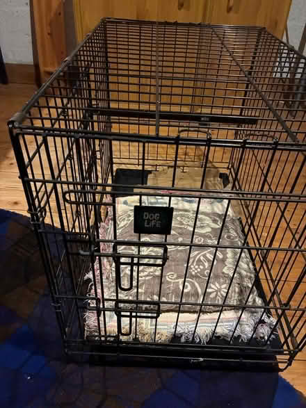 Photo of free Medium size dog crate (Barnard's Green WR14) #1