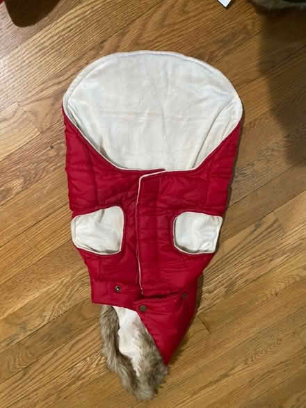 Photo of free Frisco Portland Parka (Clarendon) #2