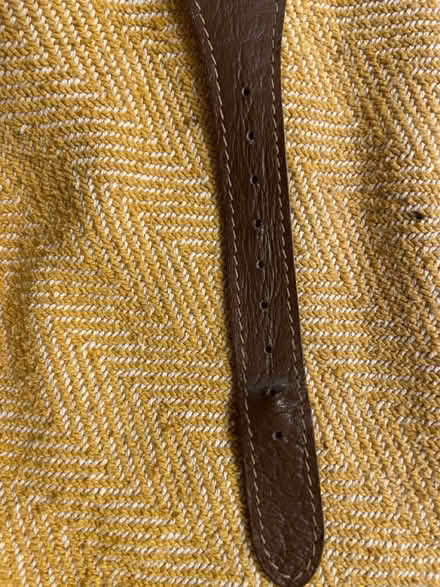 Photo of free Greyhound Style Dog Collar (Bradford Leigh BA15) #3