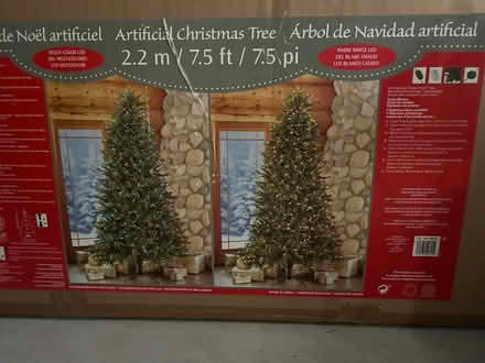 Photo of free Artificial Christmas Tree (Triple-A storage Units.) #1