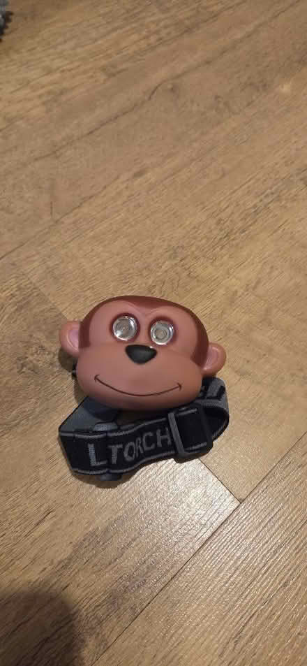 Photo of free Child's head torch (Horndean PO8) #1