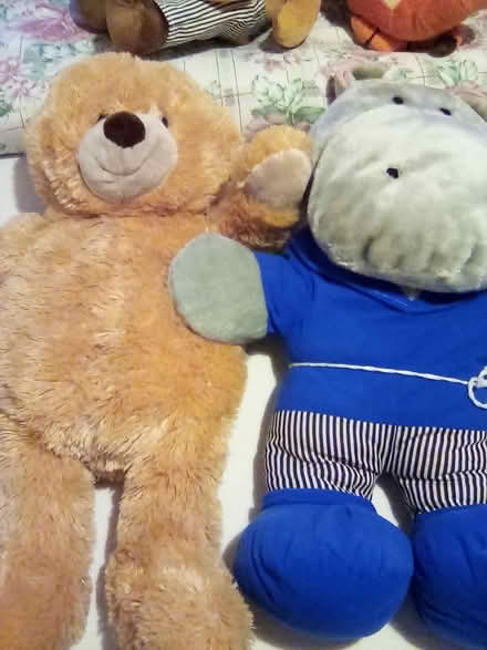 Photo of free Soft Toys (CT9) #3