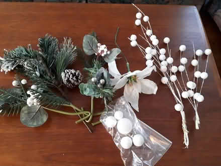 Photo of free Pieces for holiday decorations (Glen Erin/Council Ring) #1