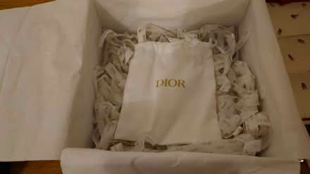 Photo of free Dior (Denholme BD13) #4