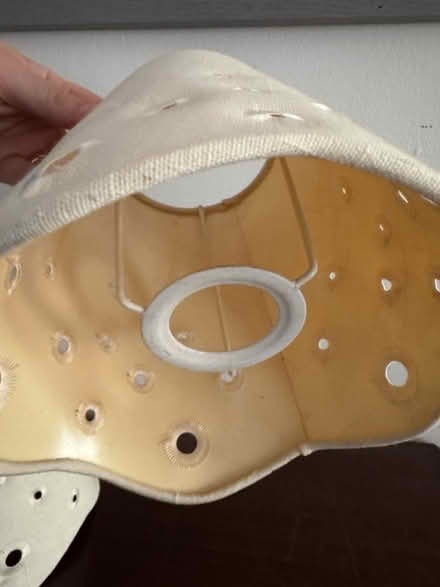 Photo of free Lamp shades (Somerville) #2