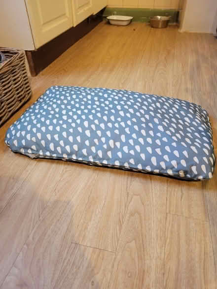 Photo of free Dog bed/ cushion (Malvern Wells WR14) #1