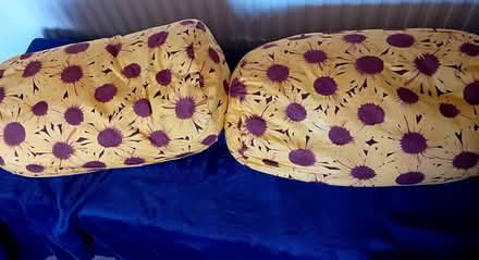 Photo of free Two Sunflower Cushions (Parkstone BH12) #1