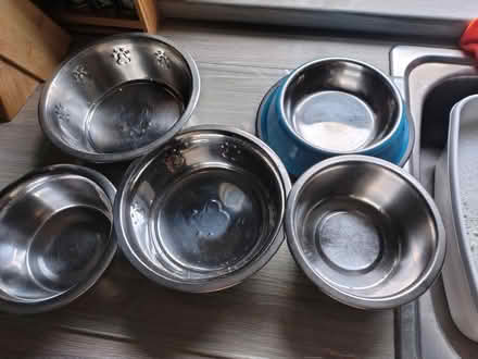Photo of free Metal dog feeding / water bowls (Merseyside) #1