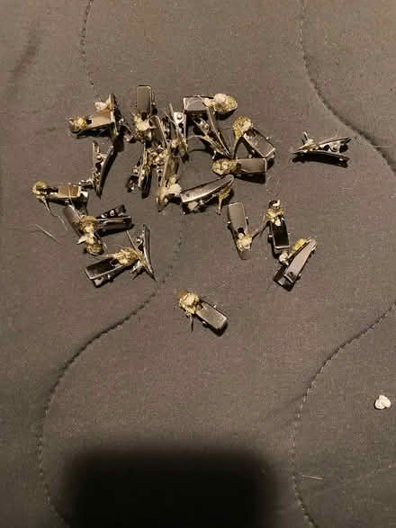 Photo of free small craft clips (midtwn) #2