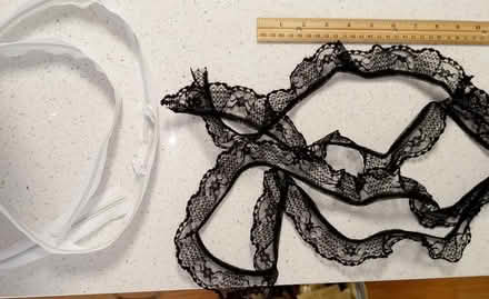 Photo of free Mustard seeds, lace, zipper (Chicago, IL) #2