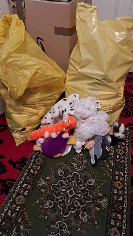 Photo of free Teddy Bears (Blackrock) #1