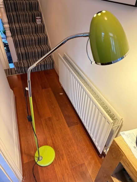 Photo of free Green floor lamp, working (Earlswood RH1) #1