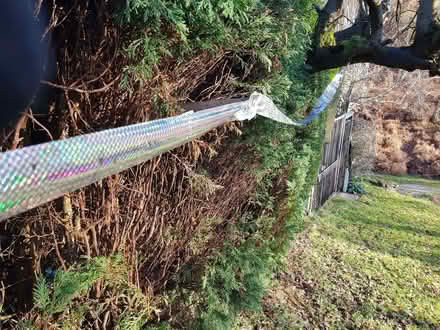 Photo of free Silver reflective tape bird scare or decoration (Brocton ST17) #1