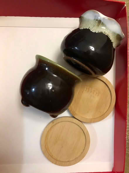 Photo of free Little succulent (West San Jose by Lynbrook High) #1