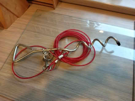 Photo of free Dog Tether (Wallasey, CH44) #1