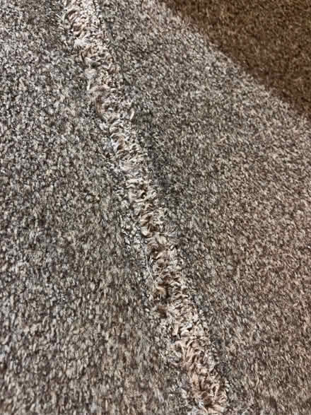 Photo of free Used carpet and underlay (Spottiswoode EH9) #2