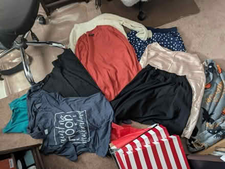 Photo of free Bag of XL women's clothes (Leedom, Ridley park) #1