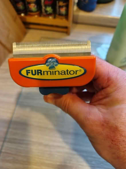 Photo of free Dog Grooming Items (Merseyside) #2