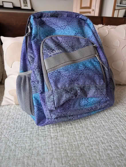 Photo of free LL Bean Deluxe Book Pack 37L (Clearview Ave. at Ellendale) #1