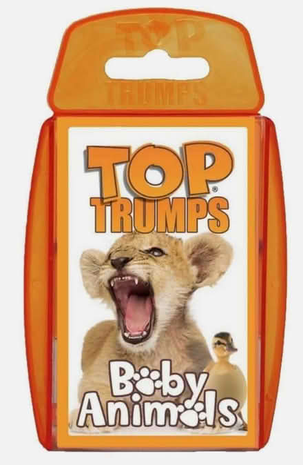 Photo of free Baby Animals Card Game (Sunnyvale 94087) #1