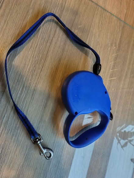 Photo of free Dog Leads (Wallasey, CH44) #3