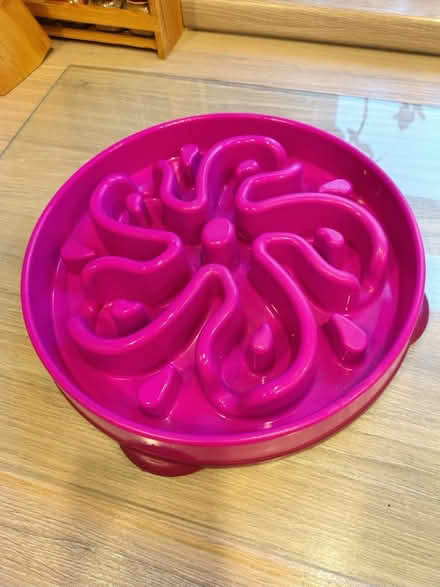 Photo of free Slow Feeder Dog Bowls (Wallasey, CH44) #3
