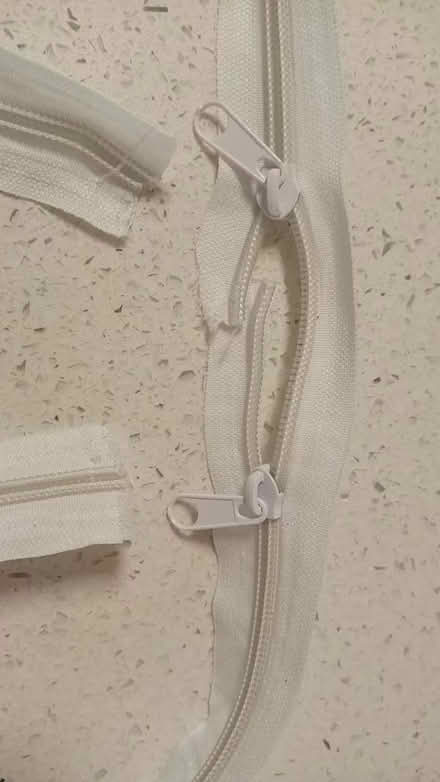 Photo of free Mustard seeds, lace, zipper (Chicago, IL) #4