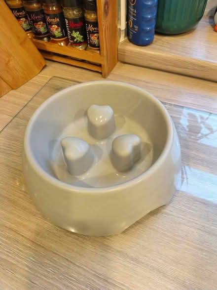 Photo of free Slow Feeder Dog Bowls (Wallasey, CH44) #1