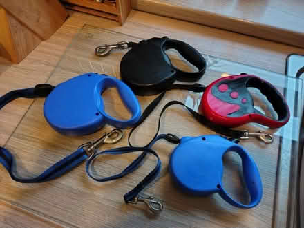 Photo of free Dog Leads (Wallasey, CH44) #1