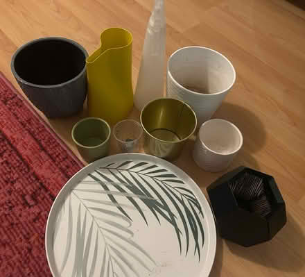 Photo of free Plant stuff etc (Eccles, M30) #1