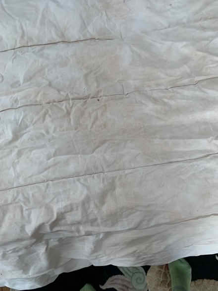 Photo of free single duvet dog bed padding (Blagdon BS40) #3