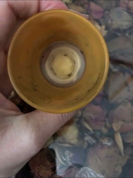 Photo of free Tealight holder (Forest Hill SE23) #2