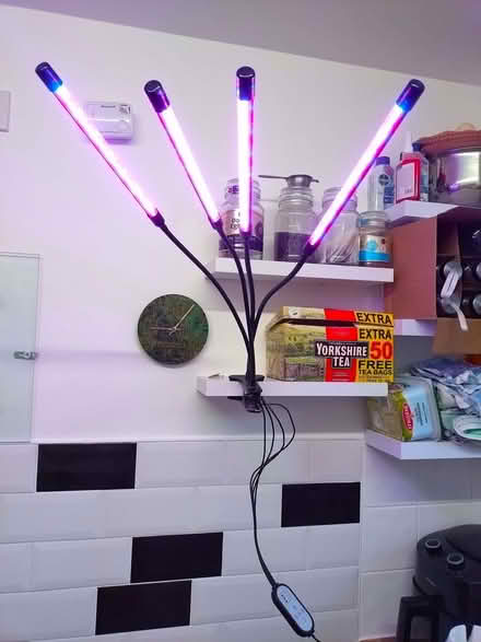 Photo of free Plant Grow Lights. (Union Park TR11) #1