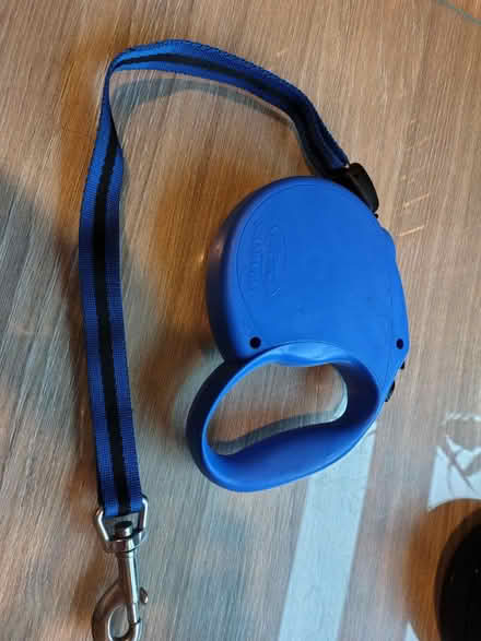 Photo of free Dog Leads (Wallasey, CH44) #2