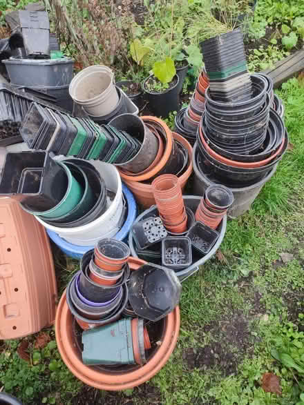 Photo of free Plant pots (BS39) #1