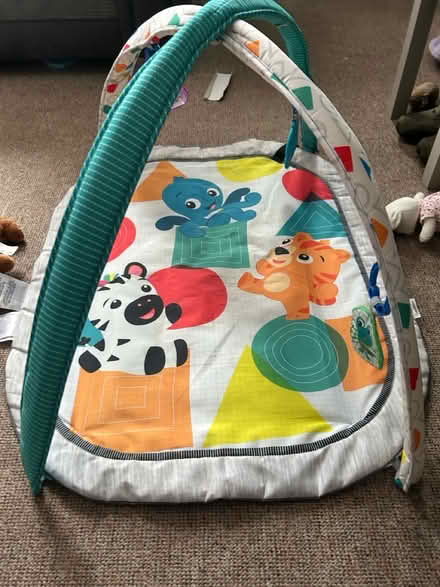 Photo of free Baby gym (Rochester ME1) #1