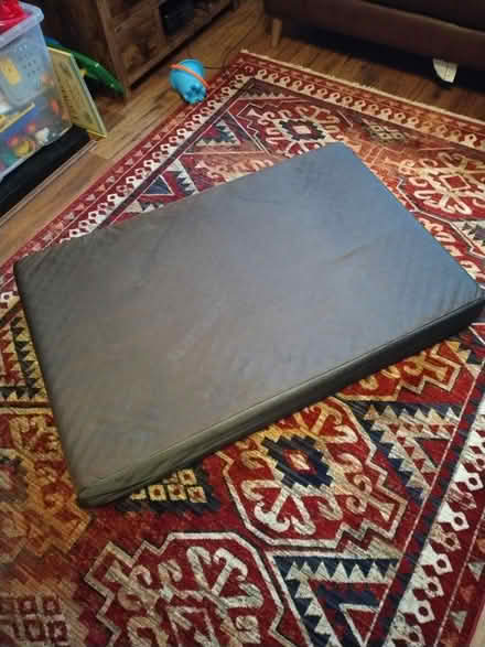 Photo of free Dog Bed, Large, Orthopedic (Wallasey, CH44) #2