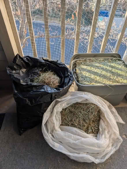 Photo of free Timothy Hay for house bunnies (Greenwood Village) #2