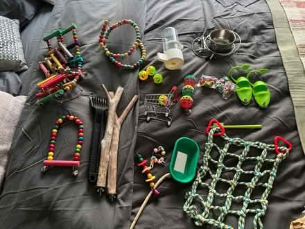 Photo of free Various bird toys / perches (Warrington WA4) #1
