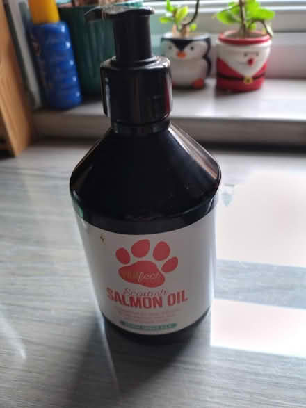 Photo of free Dog Arthritis Tablets & Oil (Merseyside) #2
