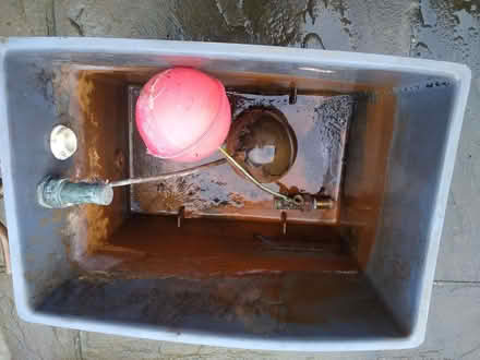 Photo of free Overflow tank (DA12) #2