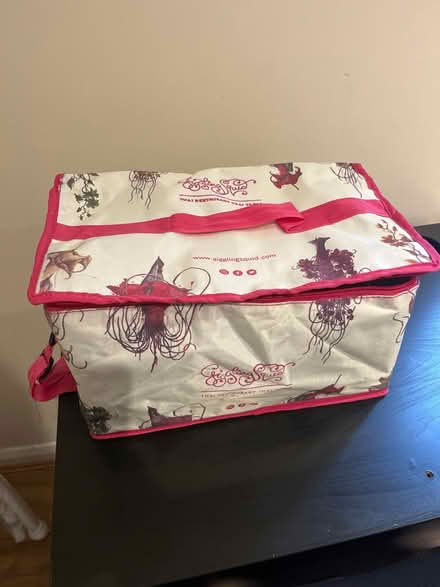 Photo of free Thermal bag (Brentford) #1