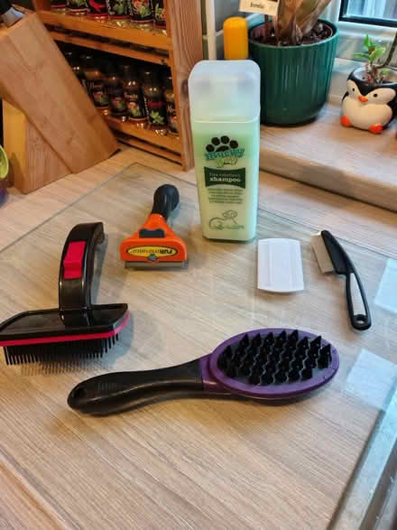 Photo of free Dog Grooming Items (Merseyside) #1