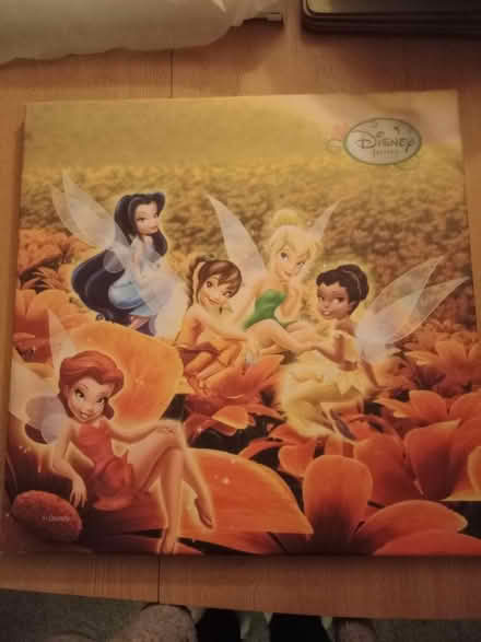 Photo of free Disney fairies canvas (Westcliff-on-sea SS0) #1