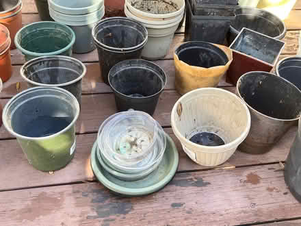 Photo of free Pots for Plants (Wolfe & Reed) #4