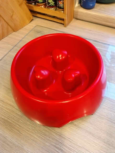 Photo of free Slow Feeder Dog Bowls (Wallasey, CH44) #2