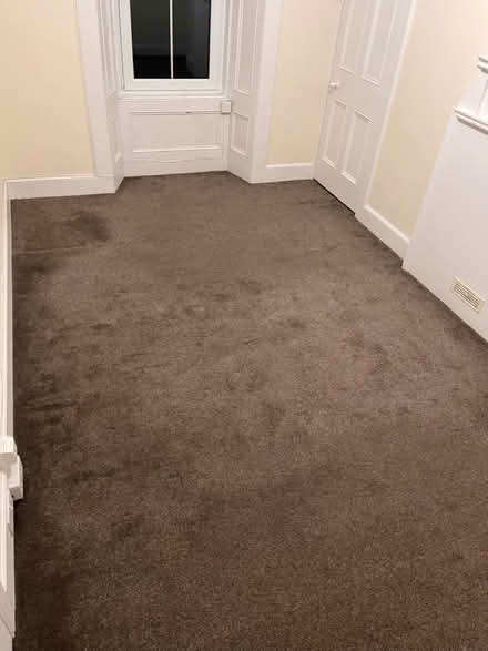 Photo of free Used carpet and underlay (Spottiswoode EH9) #1